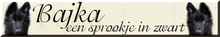 Banner Bajka